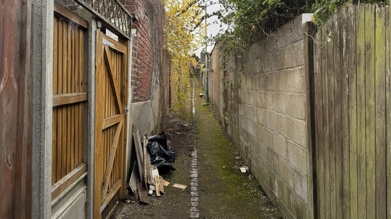 A narrow alley is full of weeds and trash