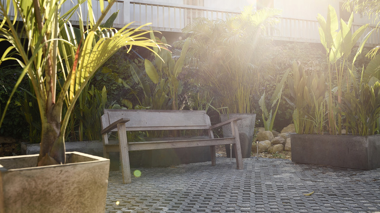 Concrete patio with wooden bench and planters holding palm plants