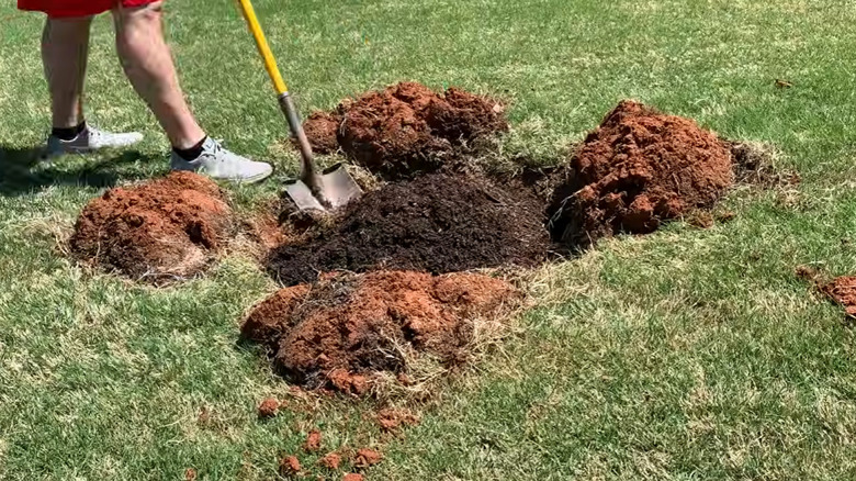 Man shoveling potting soil into a low lying area