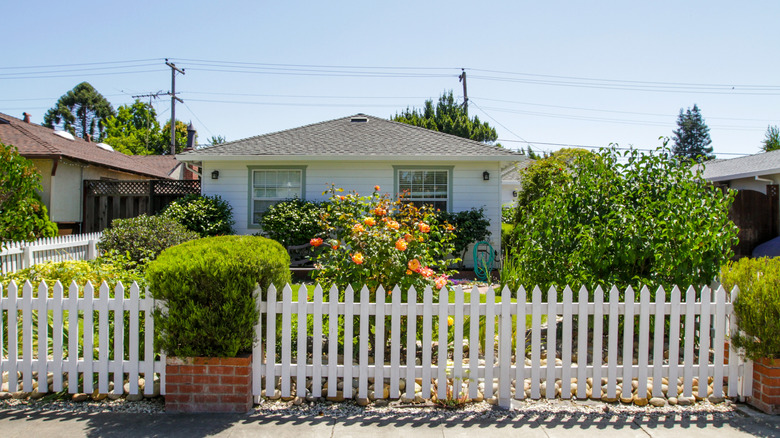 small front yard with shrubs