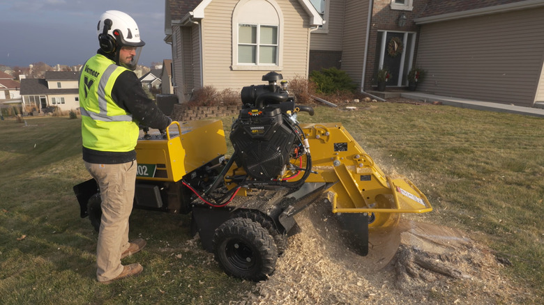 Professional using commercial stump grinder to remove tree stump in house front yard