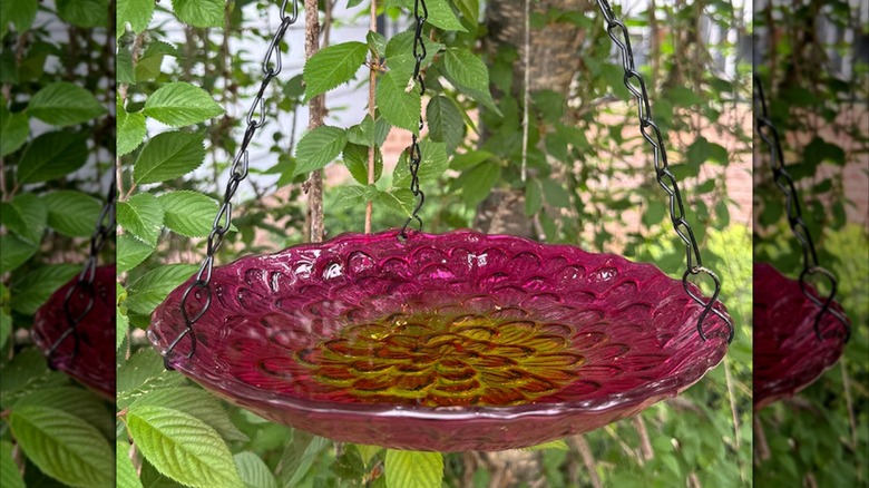 Backyard Glory Hanging Glass Birdbath in pink and yellow on a tree.