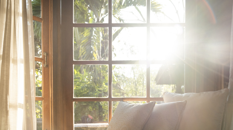 Sunny living room window