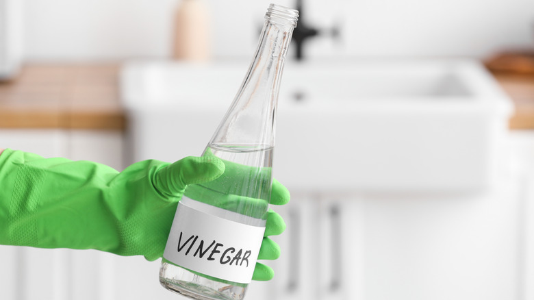gloved hand holding white vinegar for cleaning