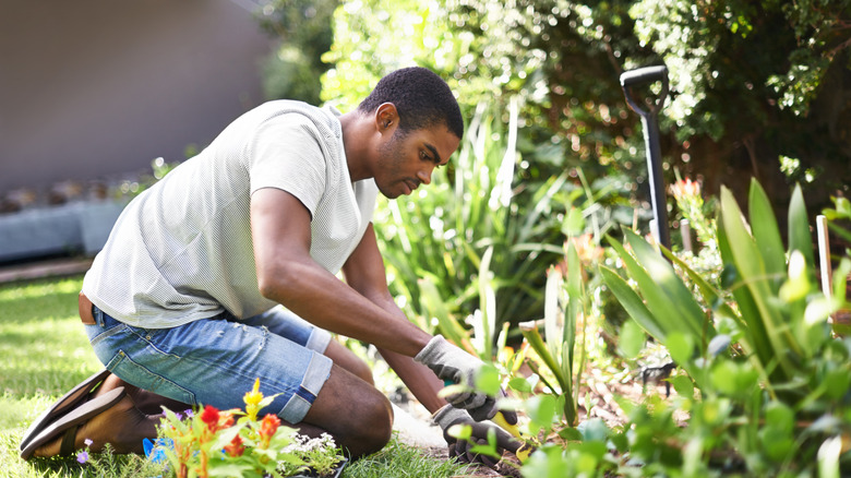 A person planting groundcover in the garden.