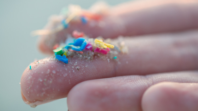 microplastic pieces on a human finger