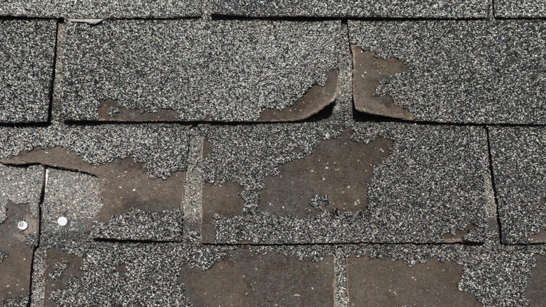 Damaged asphalt shingles with missing granules and wind uplift