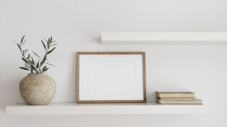 Floating shelf with plant and frame