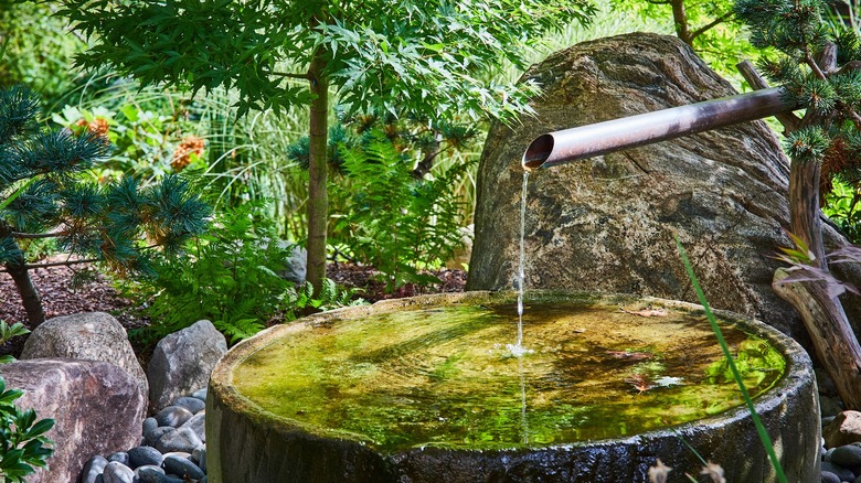 A traditional tsukubai water feature in a verdant garden