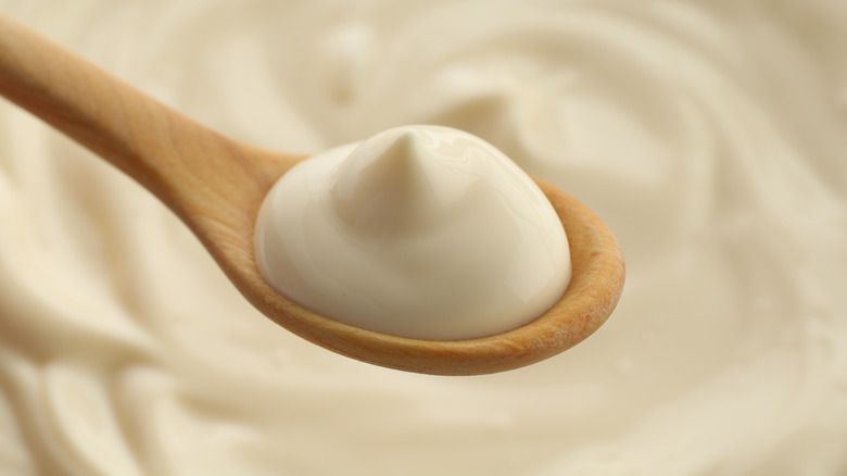 A spoon holding mayonnaise