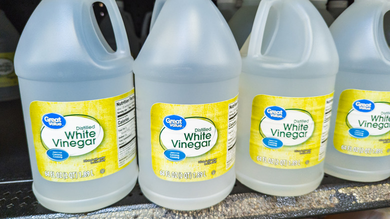 Bottles of white vinegar at Walmart