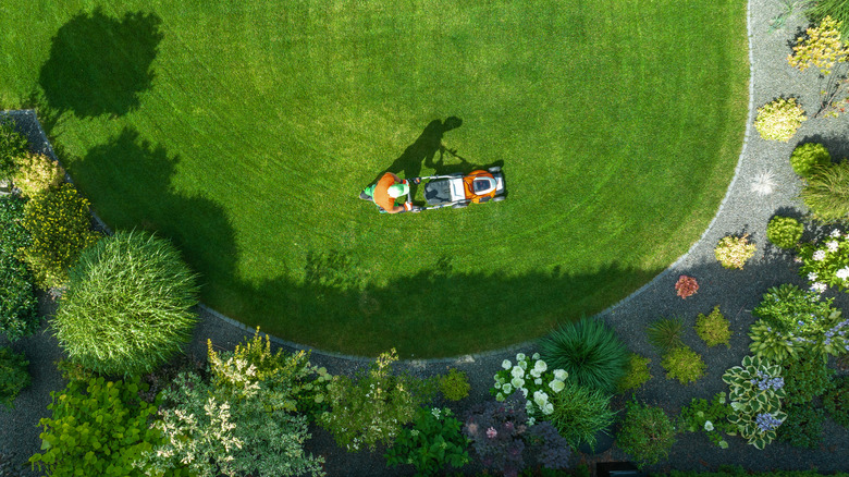 An overhead view of a person mowing a well-maintained lawn, encircled by colorful plants and flowers in a residential yard.