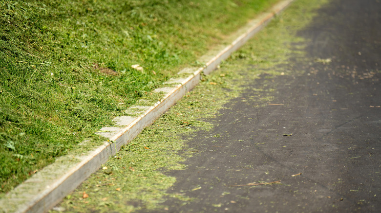 Grass clippings on a road