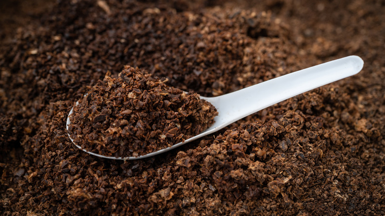 a pile of coffee grounds with spoon laying on top