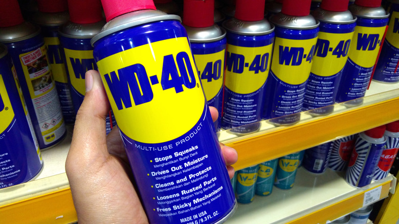 Person holding a can of WD-40 in a store