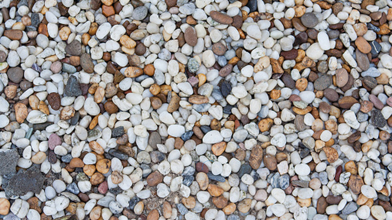 Close-up of multi-colored pea gravel stones.