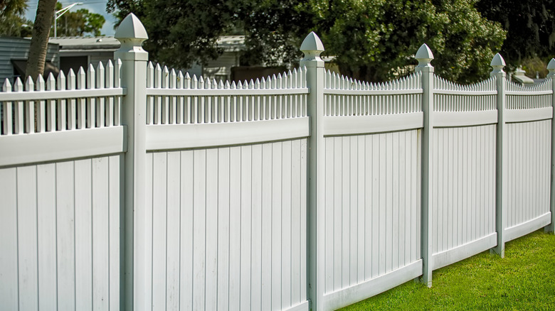 White vinyl fence