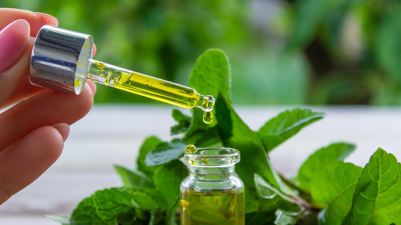 spearmint oil dropper and spearmint leaves
