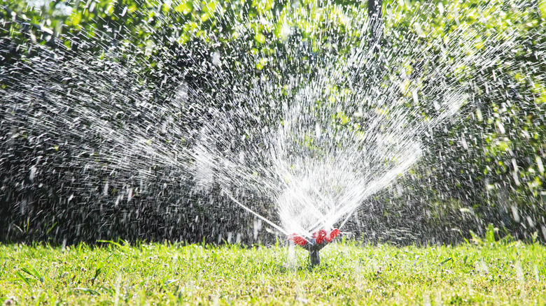 A sprinkler spraying water over the lawn
