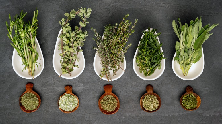 kitchen herbs lined up in bowls