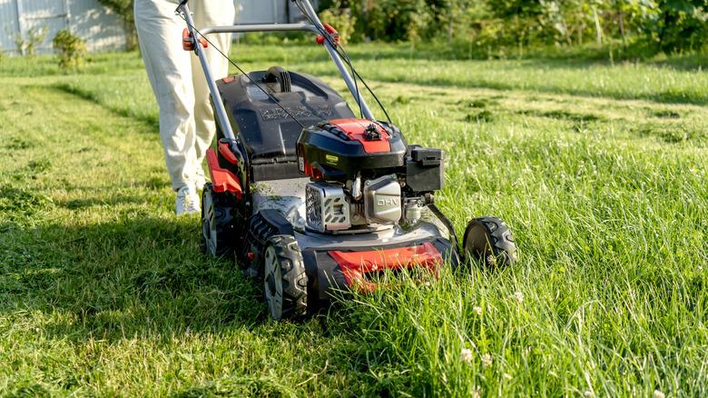 Person pushing a lawn mower through tall grass