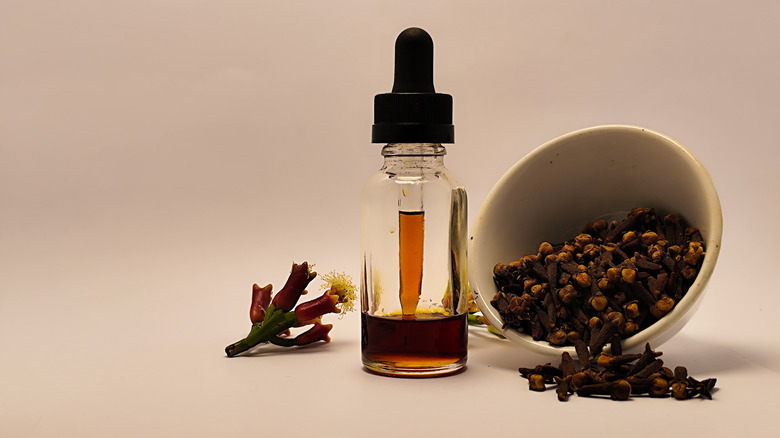fresh and dried cloves next to clove oil