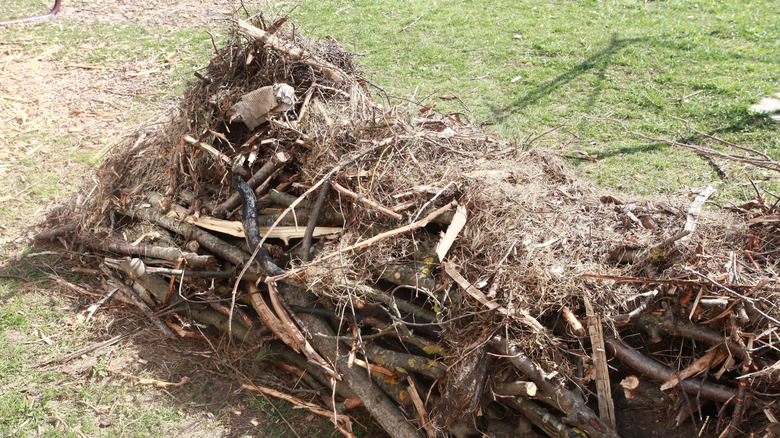 raised garden bed with wood