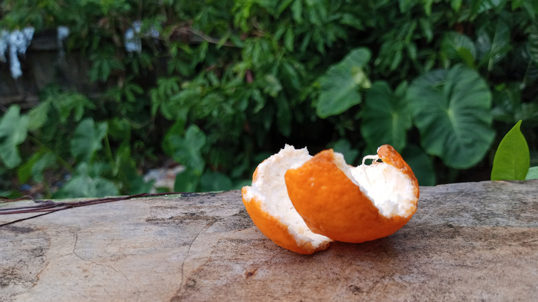 orange peel sitting outdoors near garden