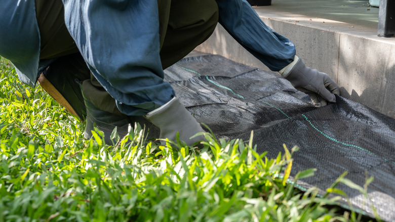 Person laying down landscape fabric