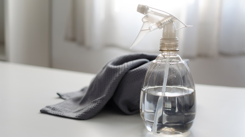 vinegar in a spray bottle