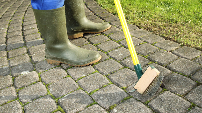 Person brushing moss out of crevices around stones in walkway
