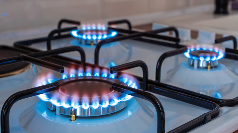 Ignited burners on a gas stove