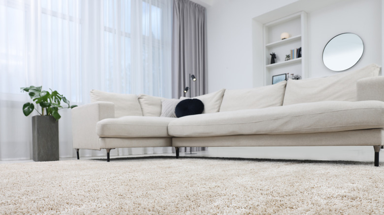 Living room with wall-to-wall beige carpet