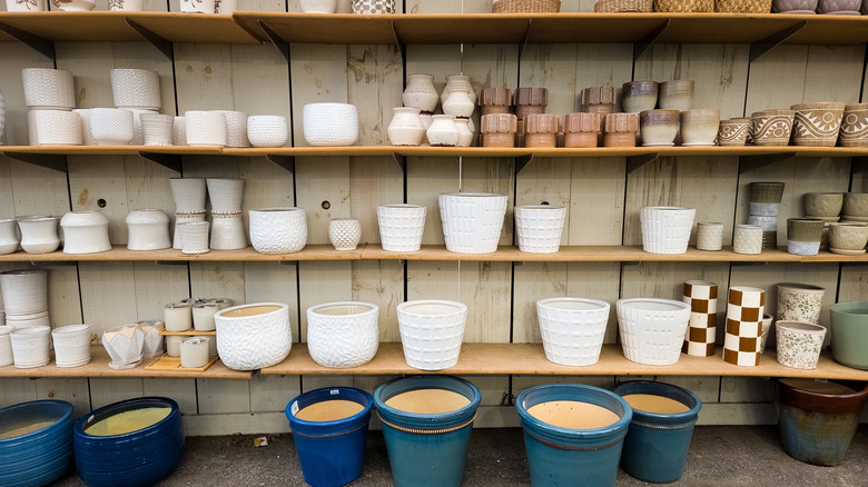 Various pots and planters on rustic store shelves