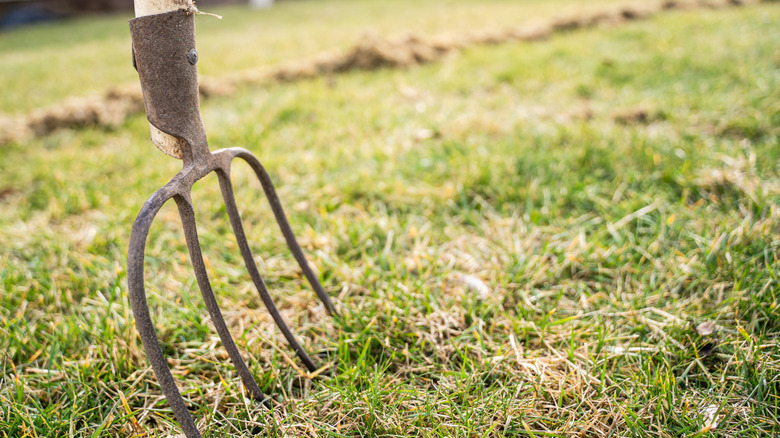 pitchfork stuck in lawn