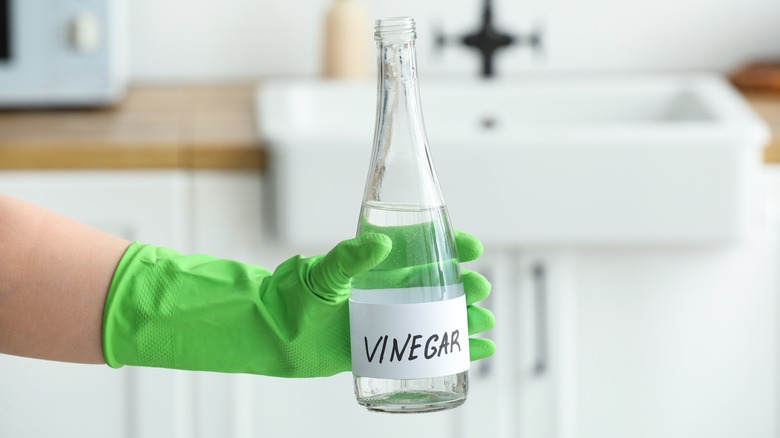 Vinegar in a bottle