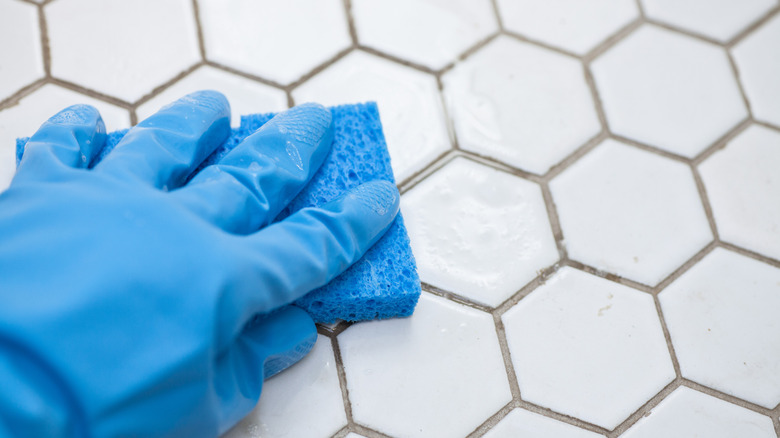 A hand covered by a blue glove holding a sponge cleans white tile and gray grout
