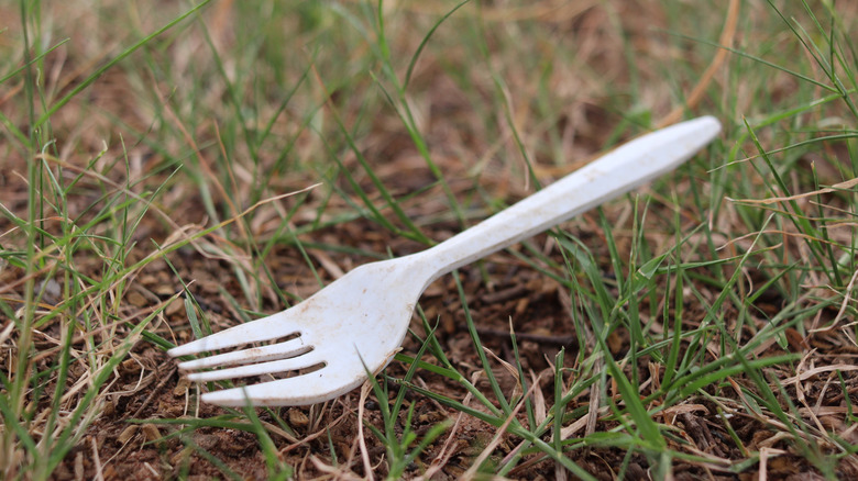 fork in the grass with a nearby snail