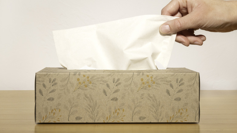 Hand pulling tissue from brown floral tissue box.