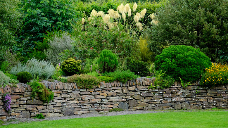 A lush garden overflowing from a loose stone garden wall