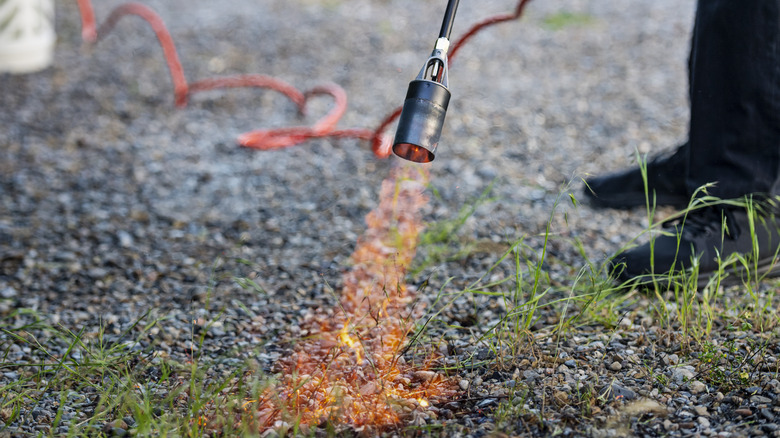burning weeds in a gravel driveway
