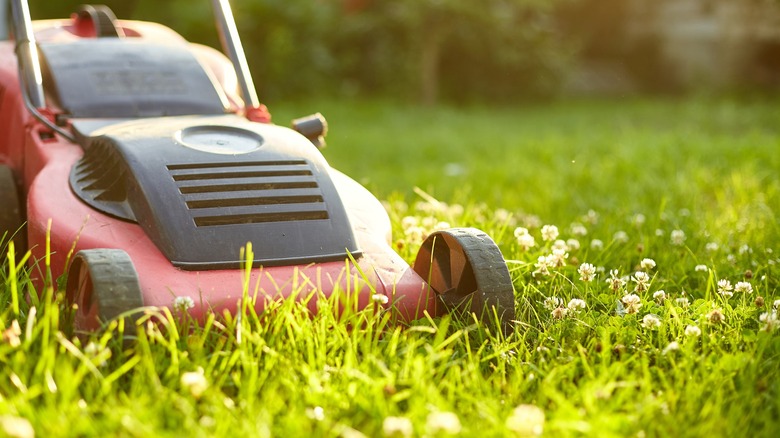 Lawn mower cutting through tall grass