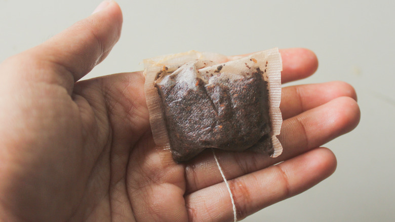 A hand holding a wet used tea bag.