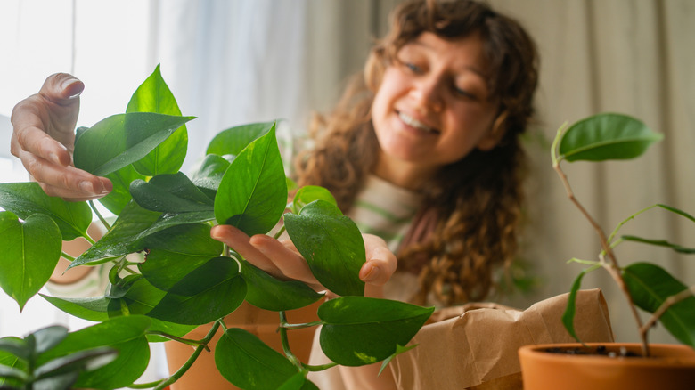 A smiling woman cares for her pothos plant.