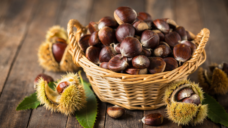 Fresh chestnuts in a basket and some in pods on a table beside it