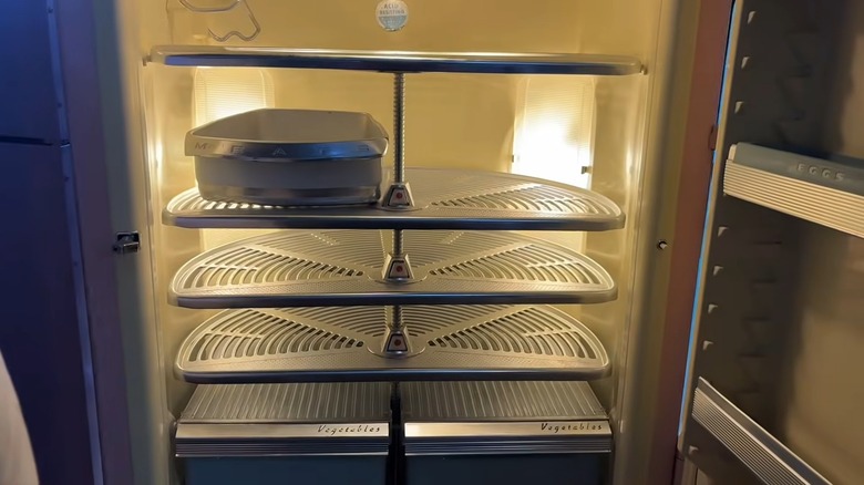 An old fridge with lazy Susan shelving
