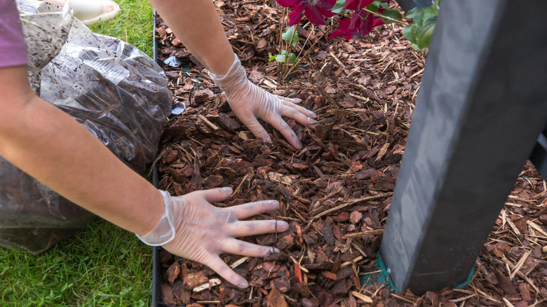 Person wearing gloves placing mulch in flower bed