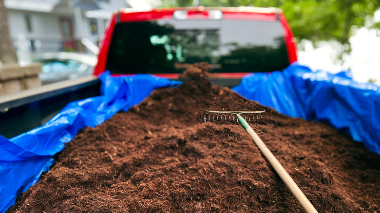 Red pickup truck with a bed full of mulch