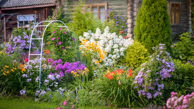 A flower garden with trellises and assorted colorful flowers
