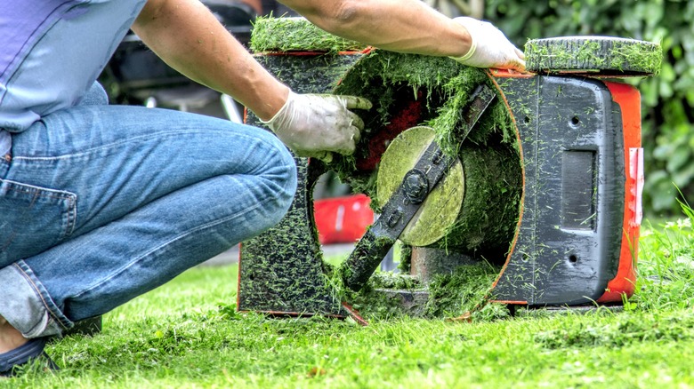 Person scraping grass from the underside of a rotary lawnmower